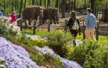 Várja a látogatók véleményét a Nyíregyházi Állatpark