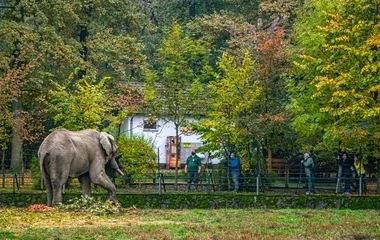 Régi-új lakó a Nyíregyházi Állatparkban