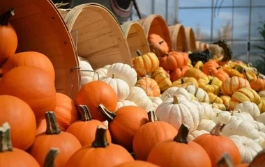 Szabolcs-Szatmár-Bereg a legtökösebb megye