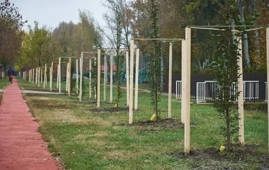 Több fát ültettek el Sóstón