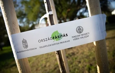Megkezdődött a településfásítási program tavaszi ültetési időszaka