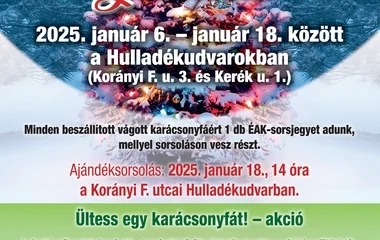 Januárban kezdődik a karácsonyfa gyűjtő akció