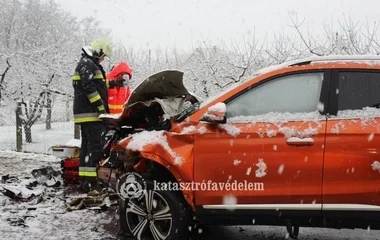 Ketten meghaltak Jánosbokornál