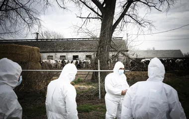 Szlovákia berágott Magyarországra, határátkelőket zárnak be