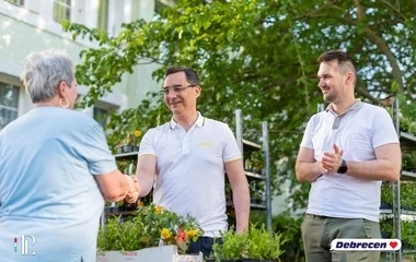Ismét virágot osztanak a debrecenieknek