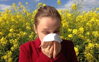 Rossz hír az allergiásoknak: fokozódik a pázsitfűfélék pollenszórása