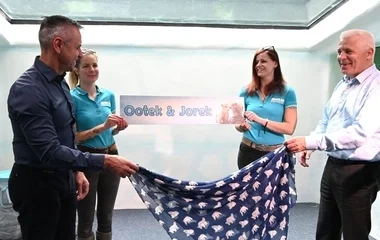 Nevet kaptak a Nyíregyházi Állatpark jegesmedvebocsai! 