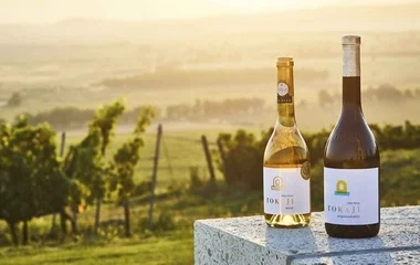 Megnyugtató eredmény a tokaji borvidéken
