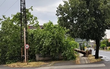 Nem kímélte a vihar Szabolcs-Szatmár Bereget sem
