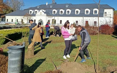 Facsemetét ültettek minden újszülött tiszteletére Kállósemjénben