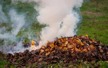 Tízszeres szennyezést okoz egyetlen avarkupac