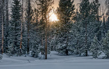 Kezdődik a havazás Magyarországon