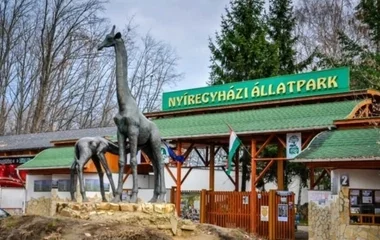 A Nyíregyházi Állatpark lett Magyarország legkedveltebb állatkertje