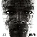 Amazing - Seal