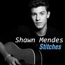 Stitches - Shawn Mendes