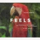 Feels - Calvin Harris / Pharrell Williams / Katy Perry