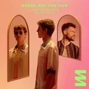  - Lost Frequencies / Calum Scott-Where Are You Now
