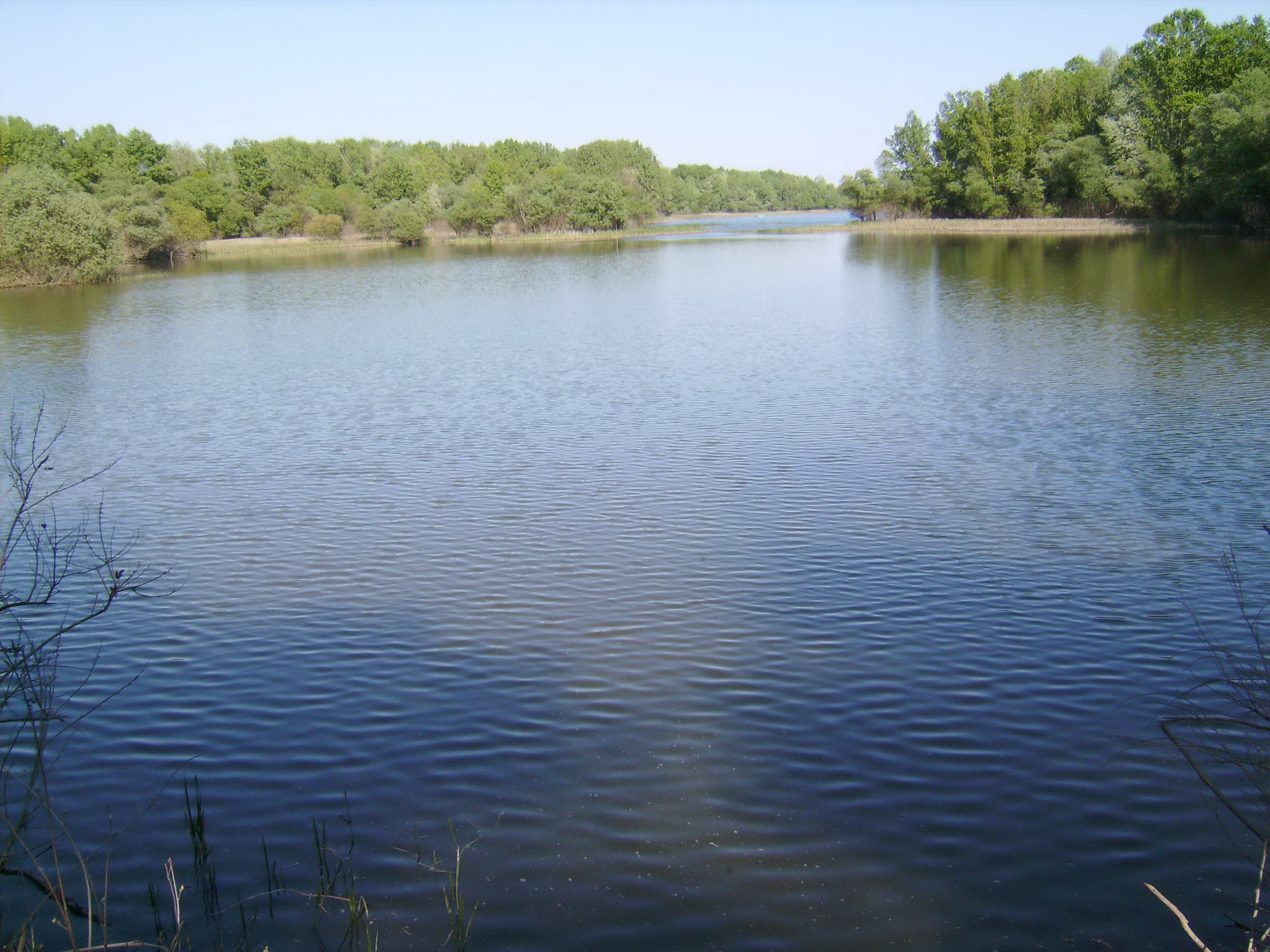 Megkezdődött az árvízvédelmi védvonalak fejlesztése a Tisza középső szakaszán