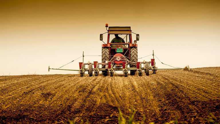 Keddtől fizethetők ki az idei agrártámogatások előlegei