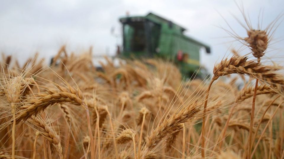 Jövő szerdán indul az agrártámogatások előlegfizetése