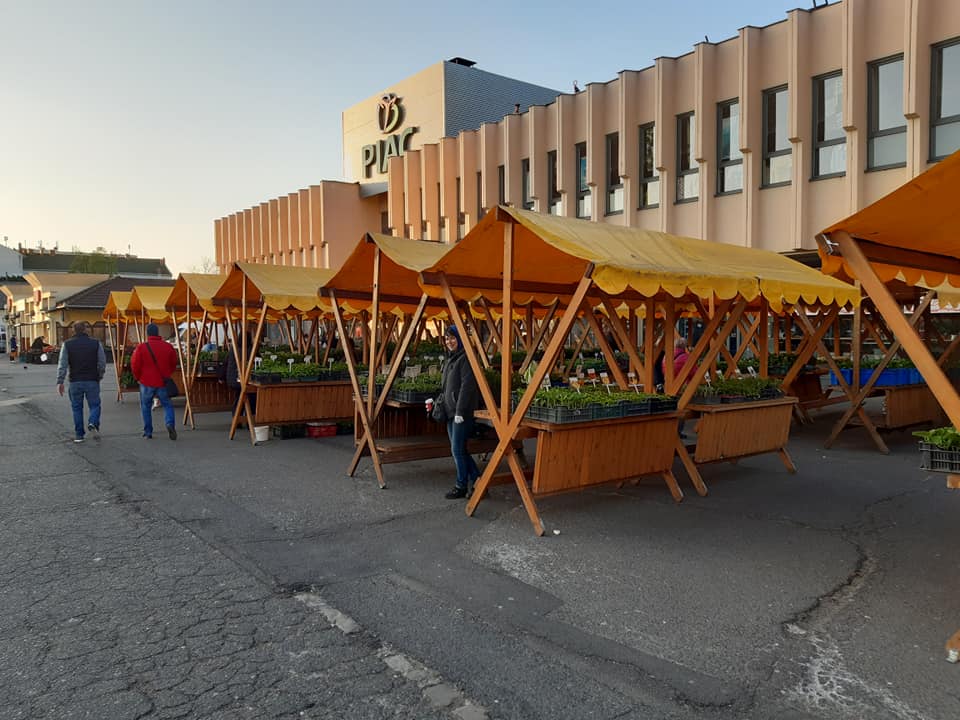 A Búza téri palántavásárra is vonatkozik az időkorlátos vásárlás