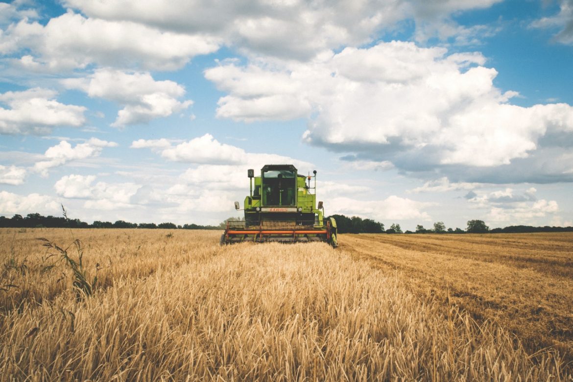 Október 16-tól megindul az agrártámogatások előlegfizetése