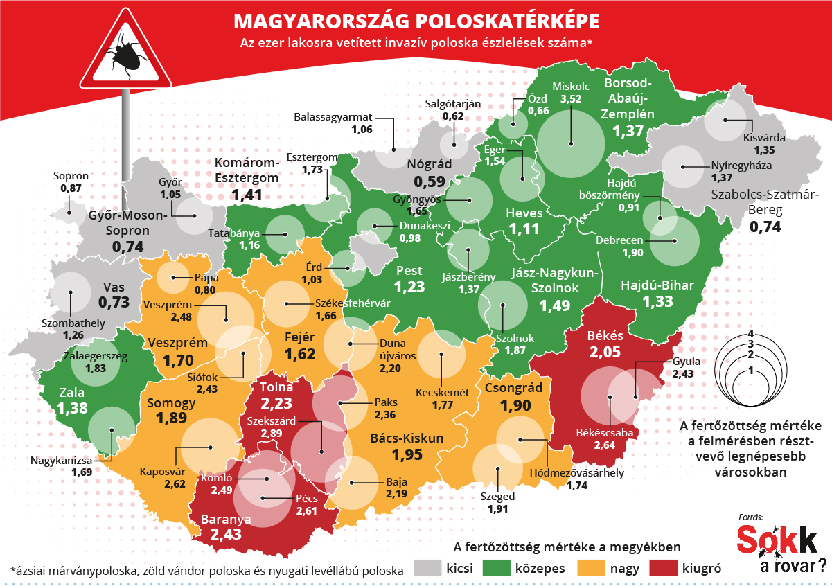 Elkészült az első magyarországi poloskatérkép