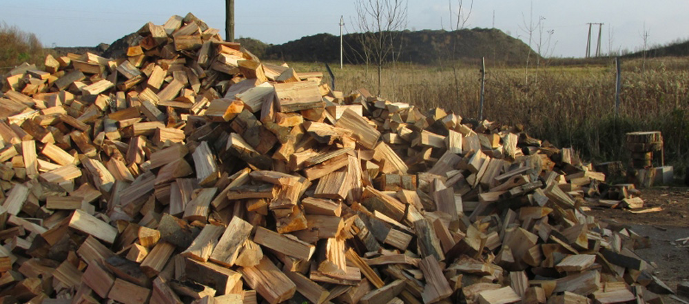 December elsejétől igényelhetnek tűzifát a rászorulók Nyíregyházán