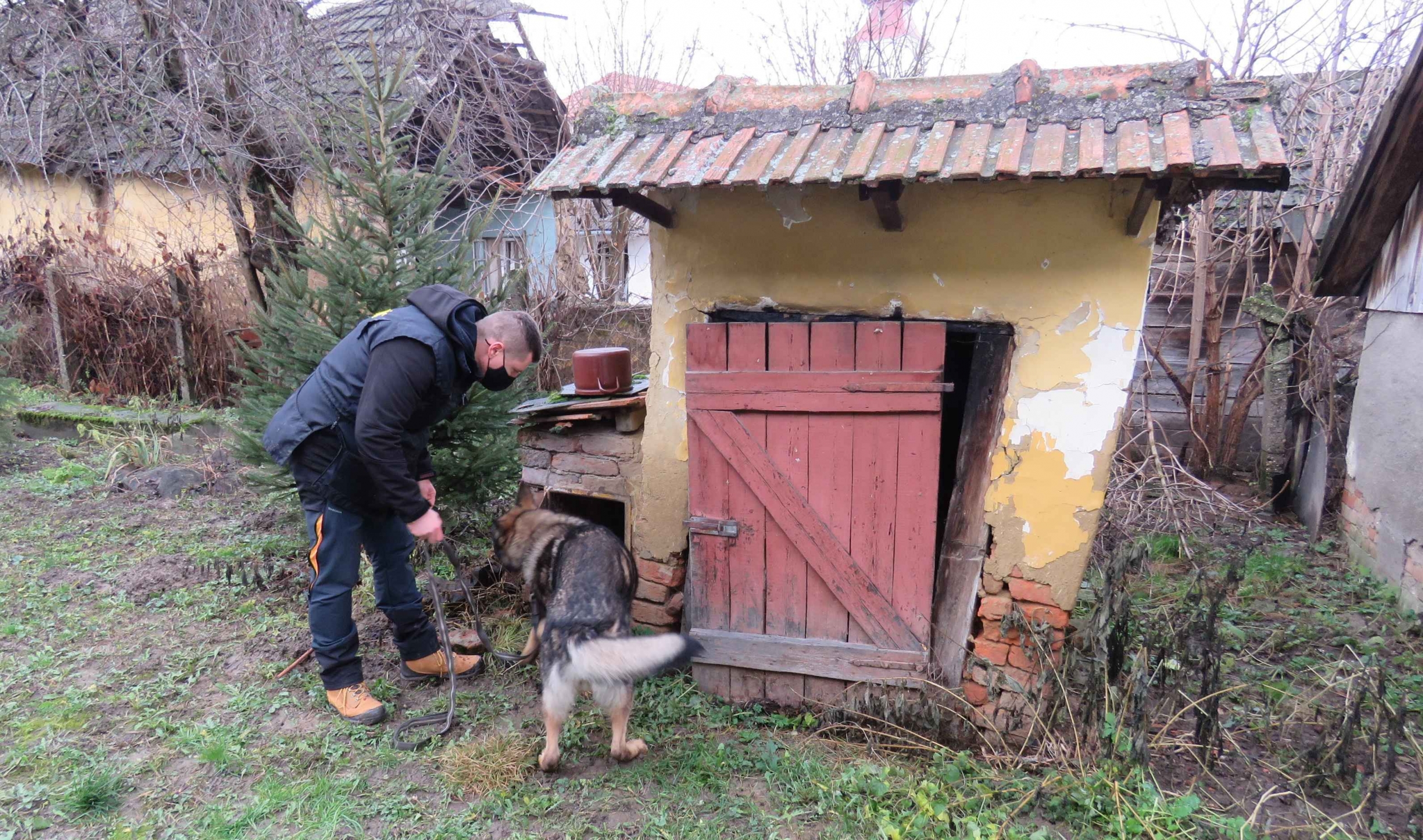 Fiesta kiszagolta a lőszereket