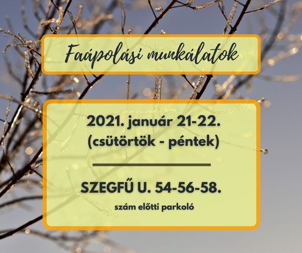 Faápolási munkálatok lesznek a Szegfű utcán