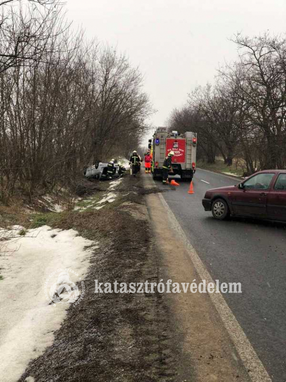 Szarvas rohant egy autó oldalának