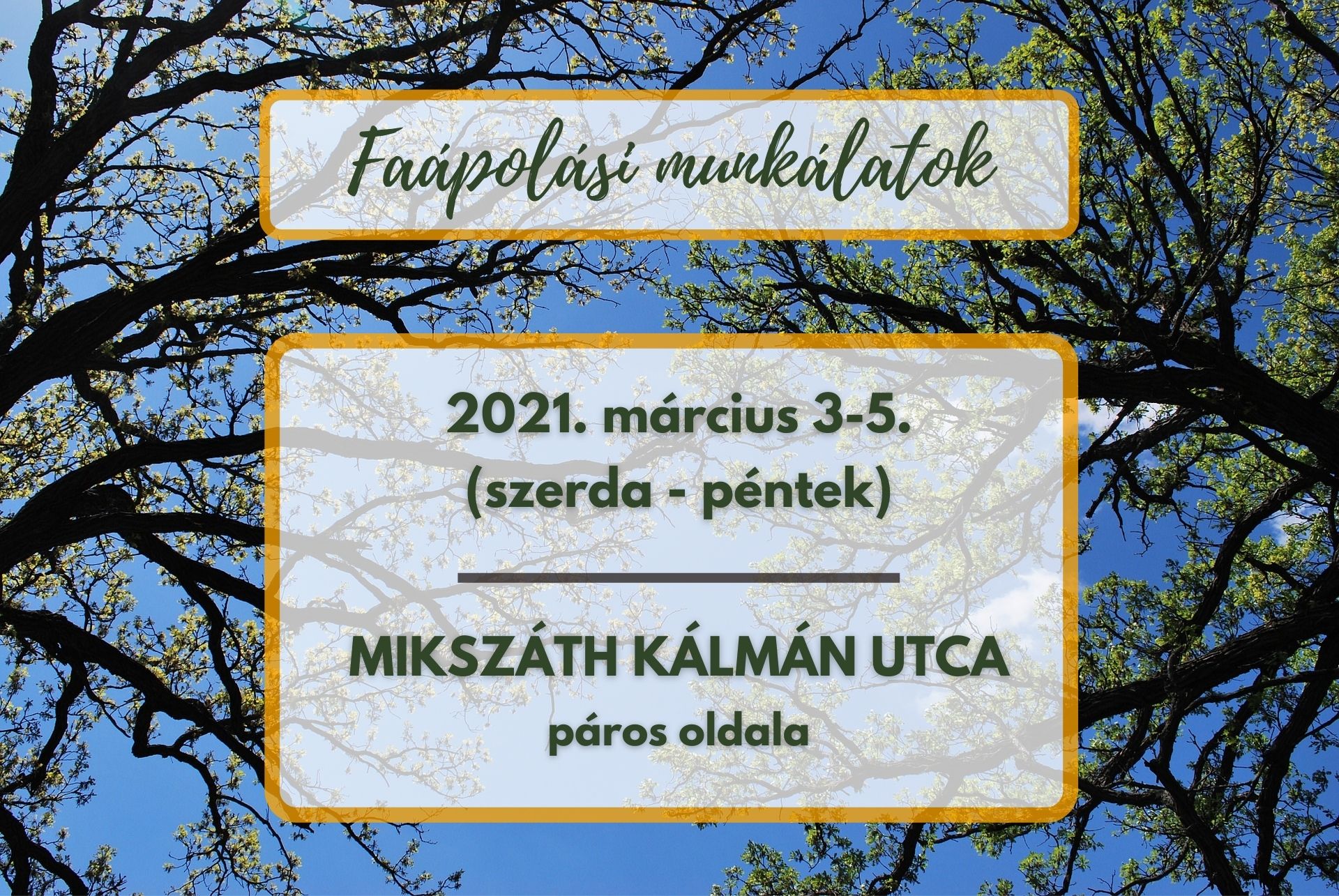 Faápolási munkálatok lesznek a Mikszáth Kálmán utcán