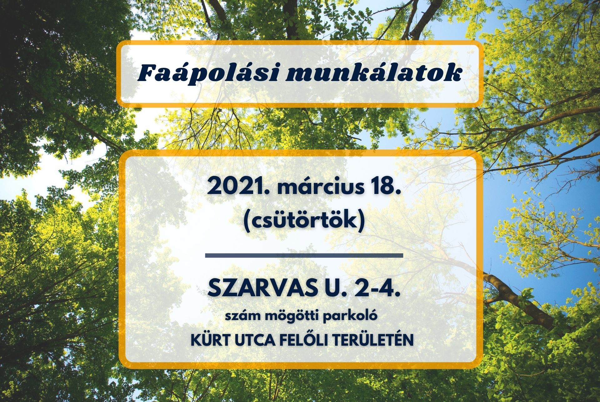 Faápolási munkálatok lesznek a Szarvas utcán