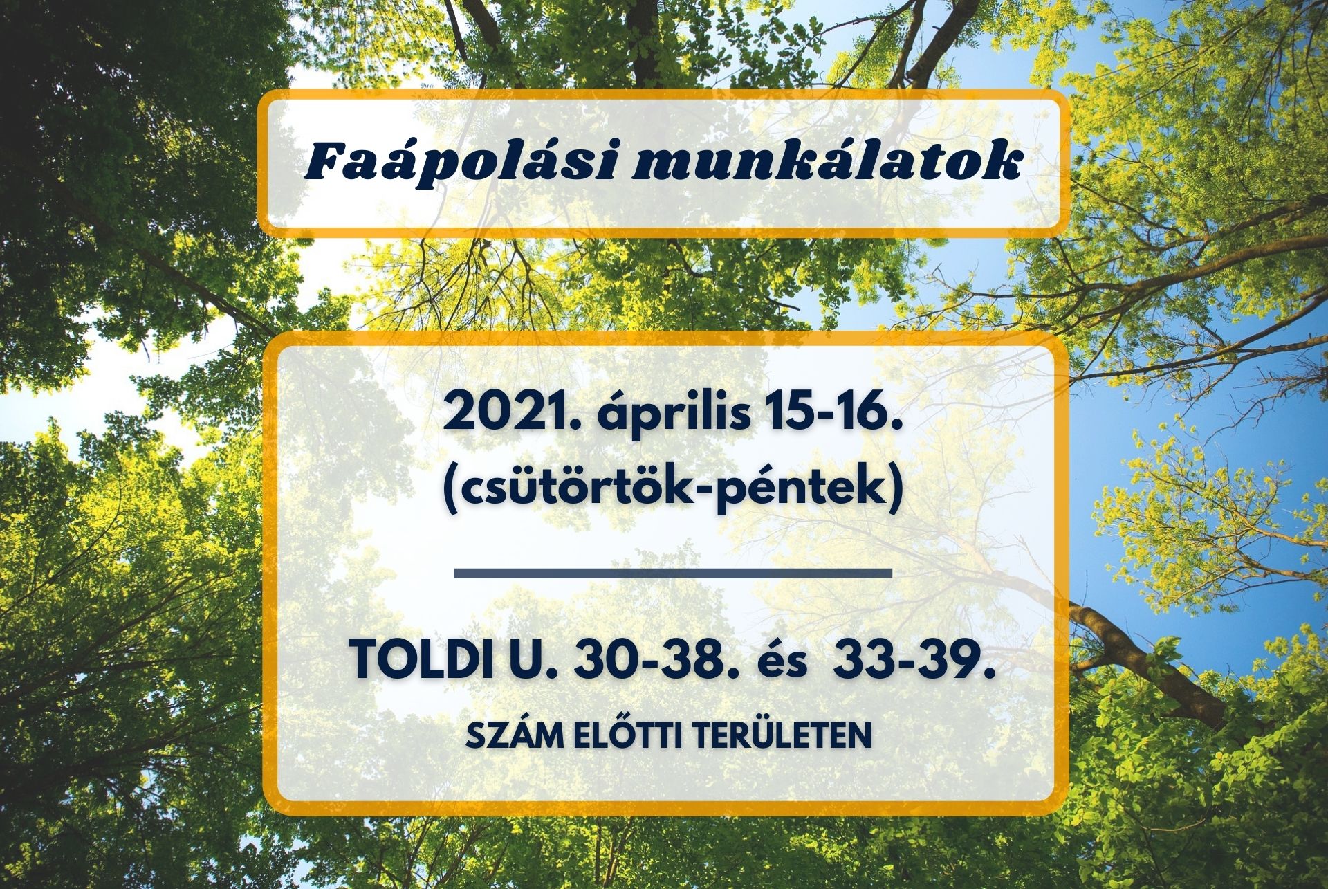 Faápolási munkálatok a Toldi utcán