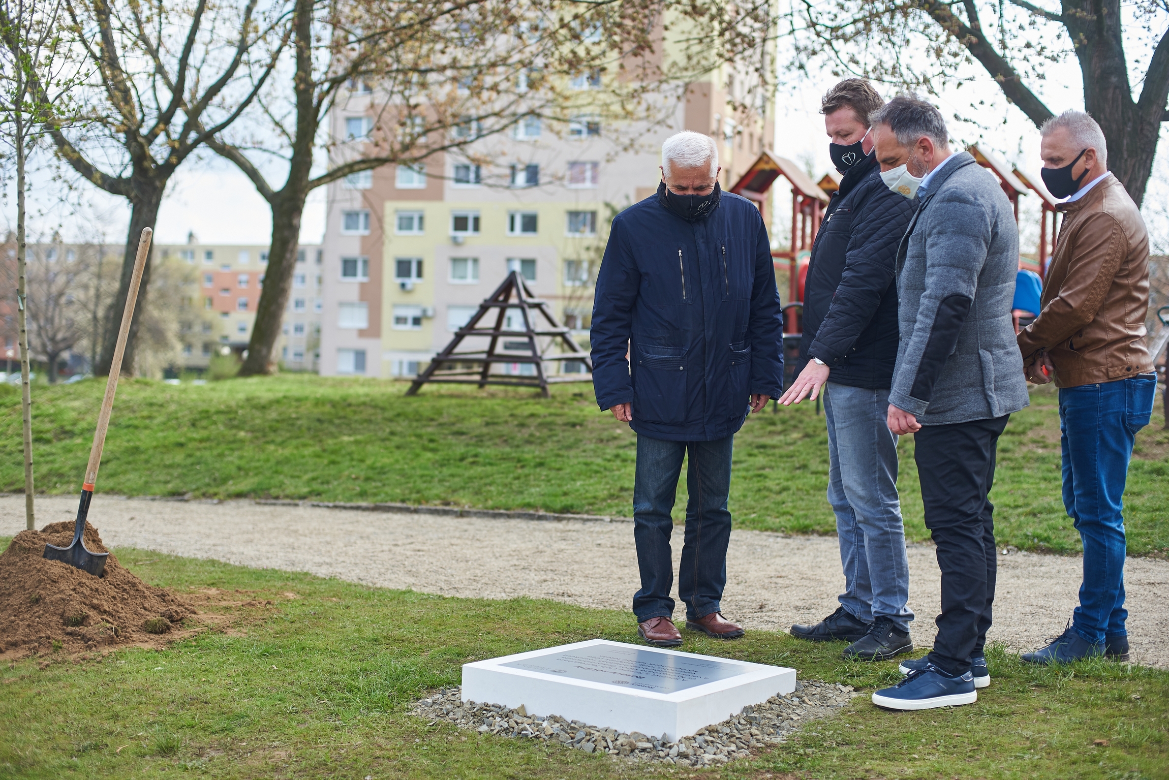 Folytatódik a polgármesteri fásítási program