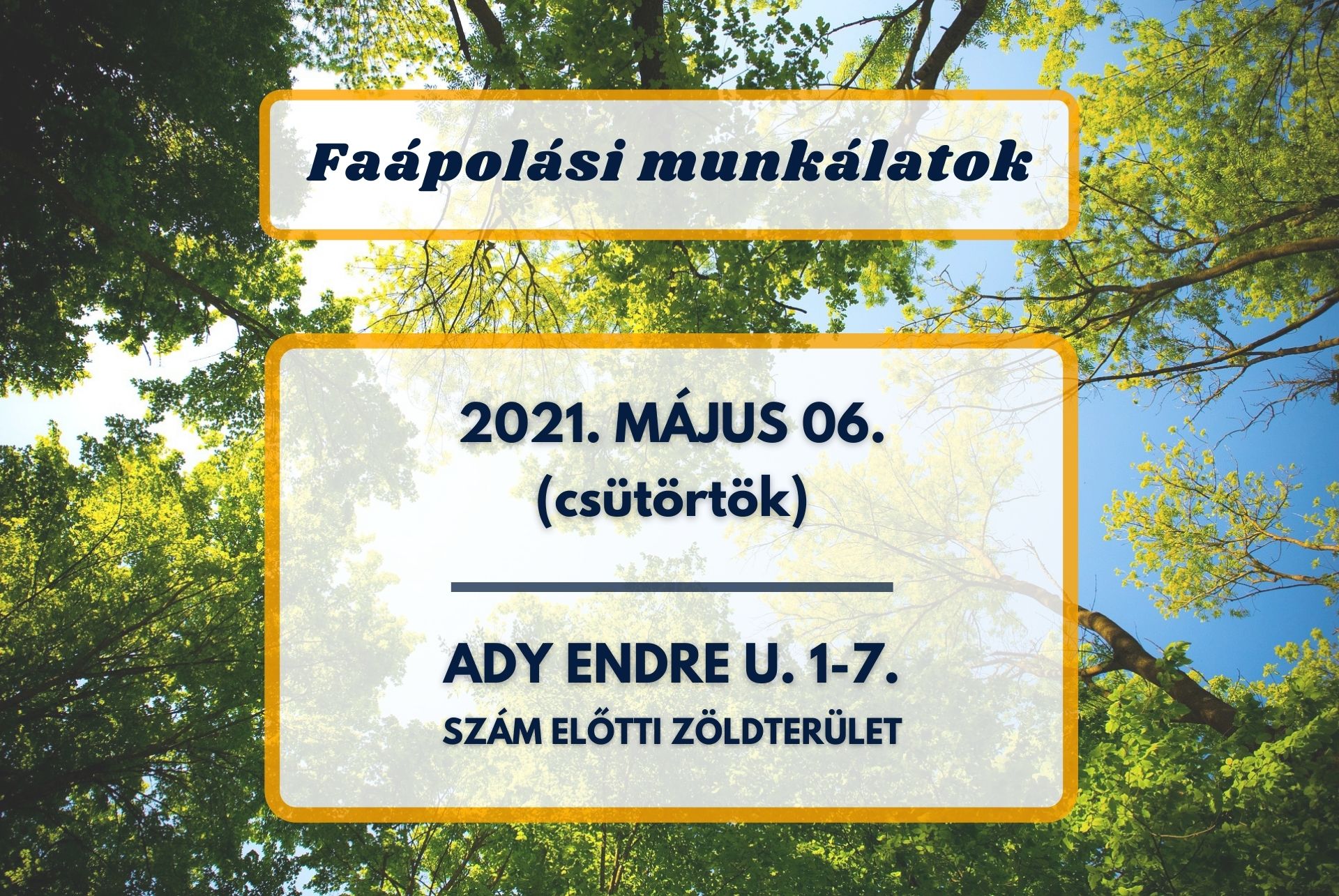 Faápolási munkálatok lesznek az Ady Endre utcán