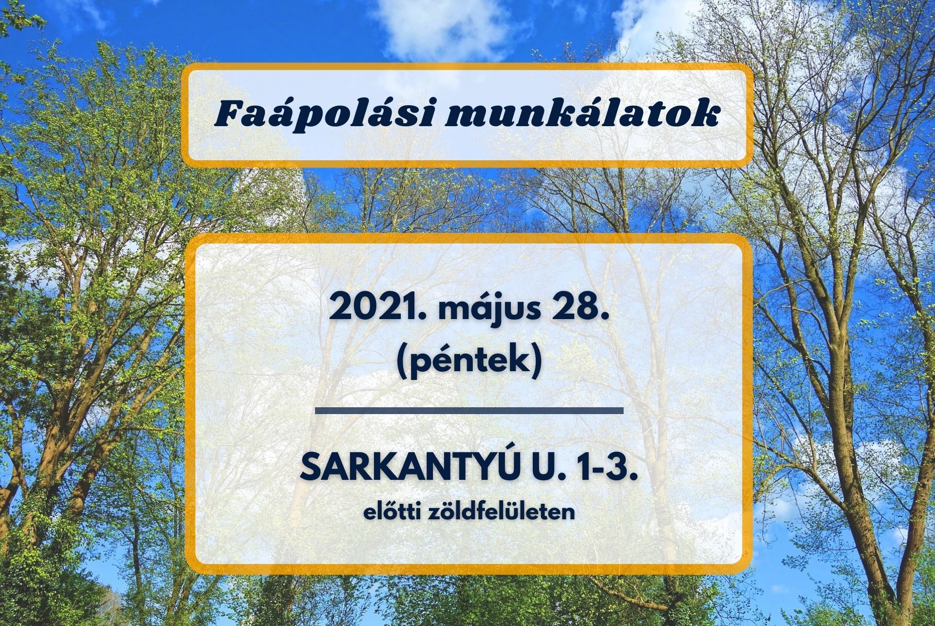 Faápolási munkálatok lesznek a Sarkantyú utcán