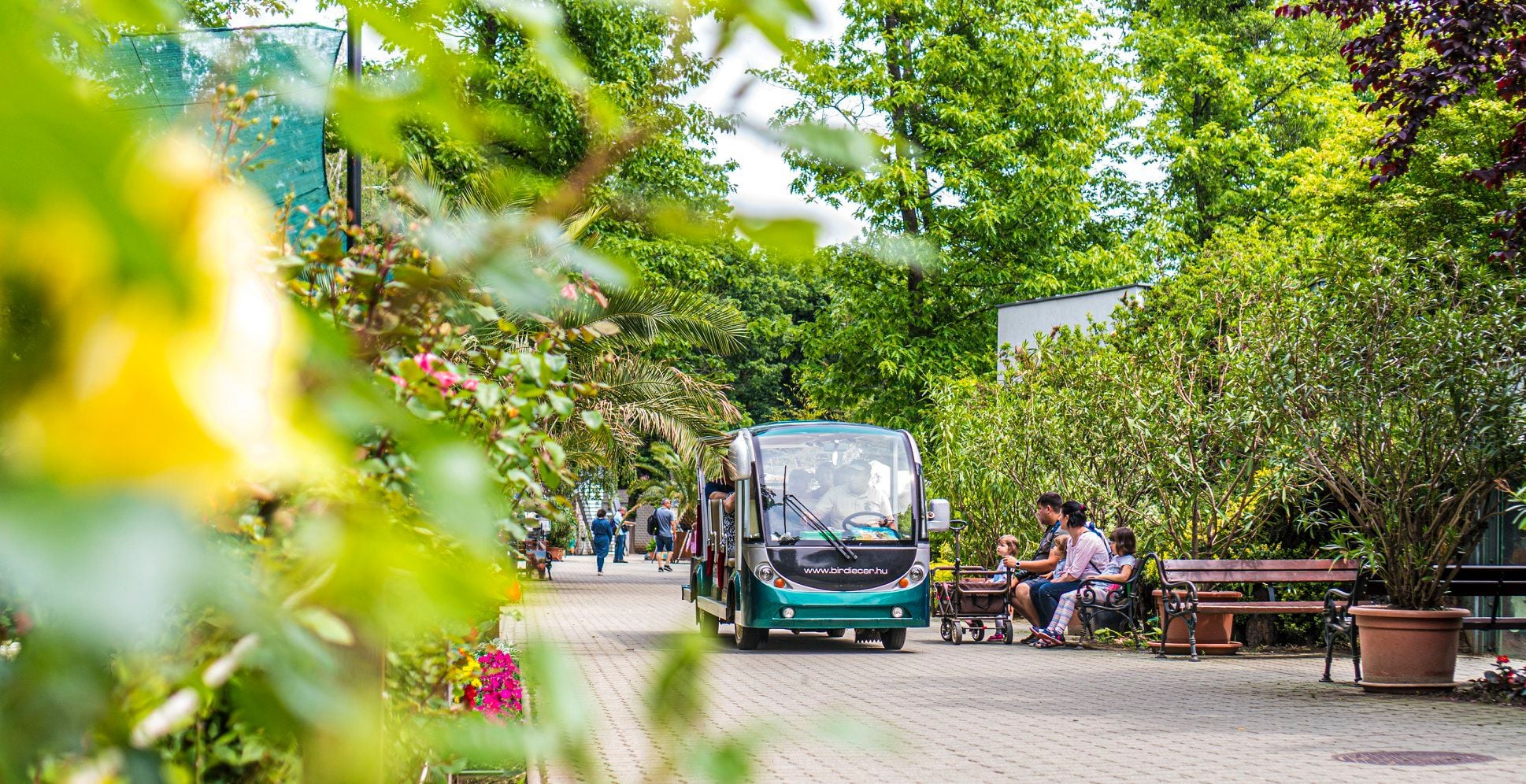 Számos gyereknapi programmal várja a látogatókat a Nyíregyházi Állatpark