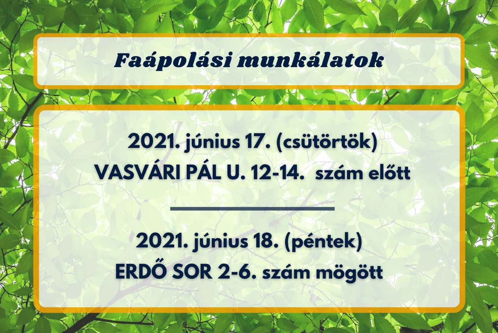 Folytatódnak a faápolási munkálatok városunkban