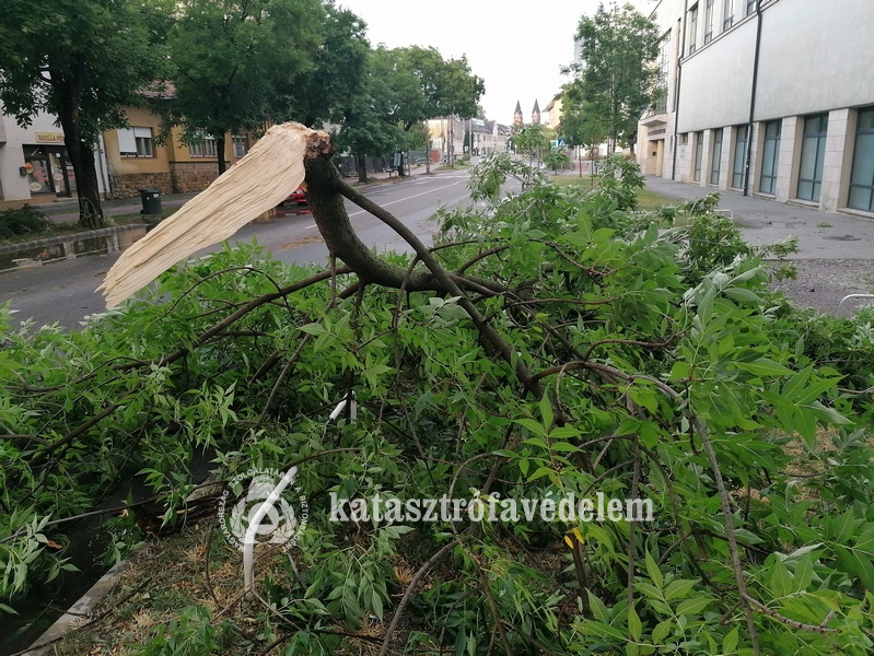 Nagy erőkkel dolgoznak a viharkárok felszámolásán megyénkben