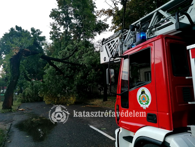 Csaknem 200 helyszínre vonultak a tűzoltók