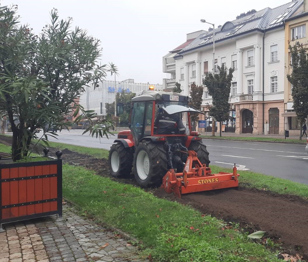 Őszi virágosítás Nyíregyházán