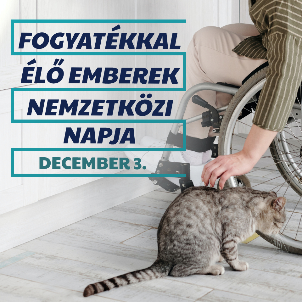 Ma van a Fogyatékkal Élő Emberek Nemzetközi Napja