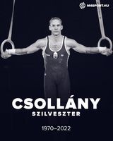 Elhunyt Csollány Szilveszter