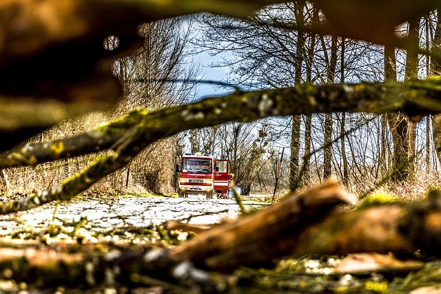 A szél miatt riasztották a megyei tűzoltókat