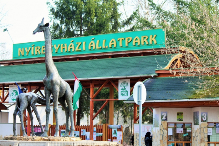 A Nyíregyházi Állatpark harmadszor is a legjobb