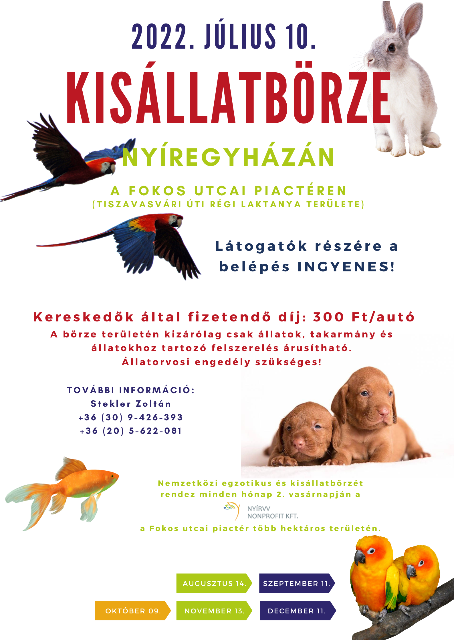 Kisállatbörze lesz a Fokos utcai Vásártéren