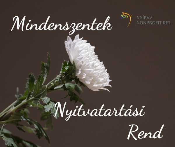 Munkarend mindenszentek ünnepén 