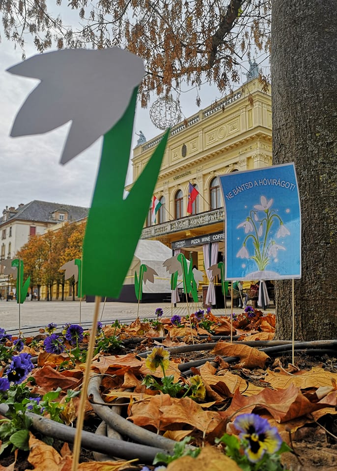 Továbbra sem értik a szülok, hogy miért kell bezárni a Hóvirág bölcsodét?