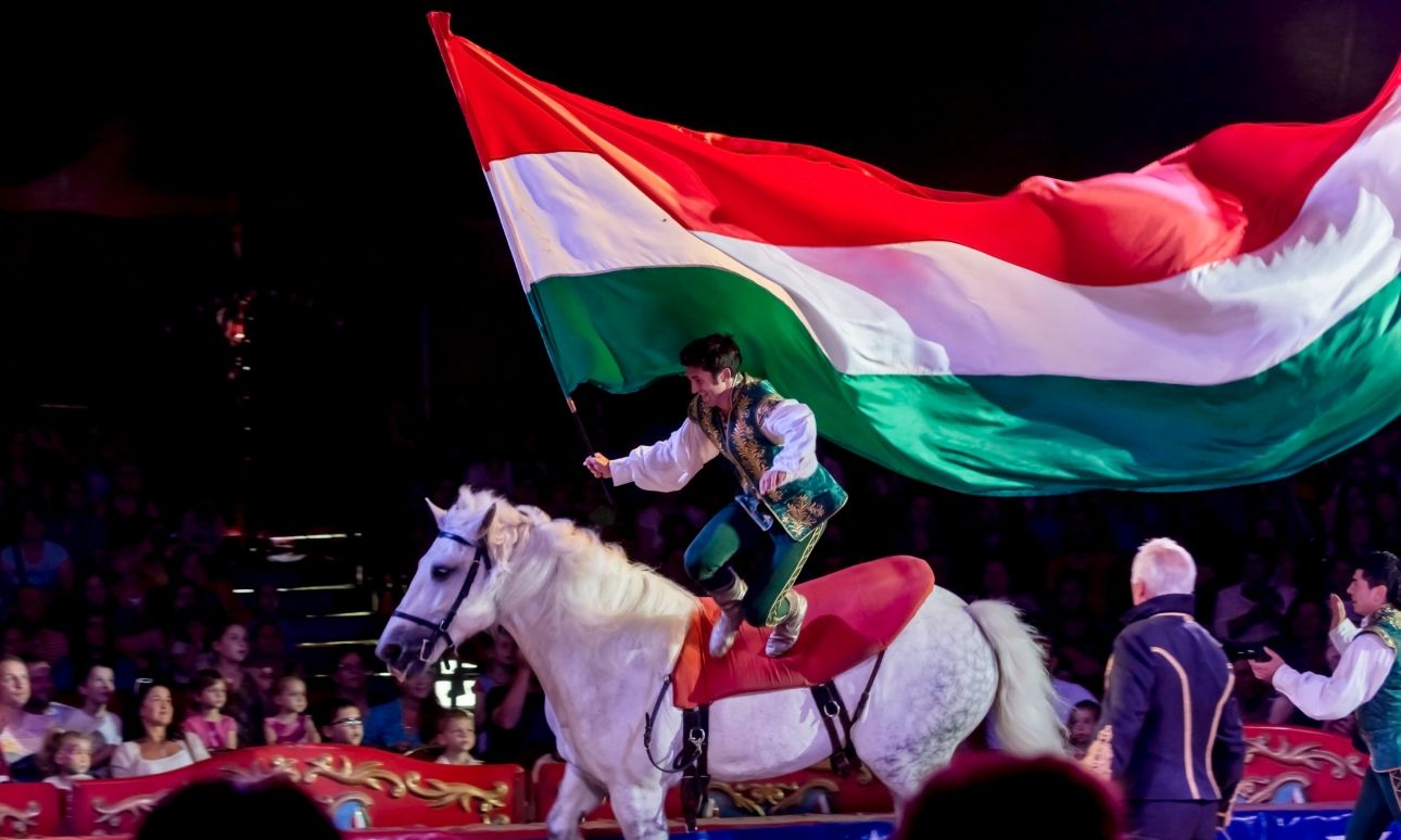 Visszatér Nyíregyházára a Magyar Nemzeti Cirkusz